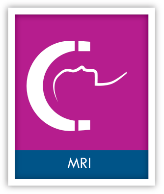 rn-tile-mri